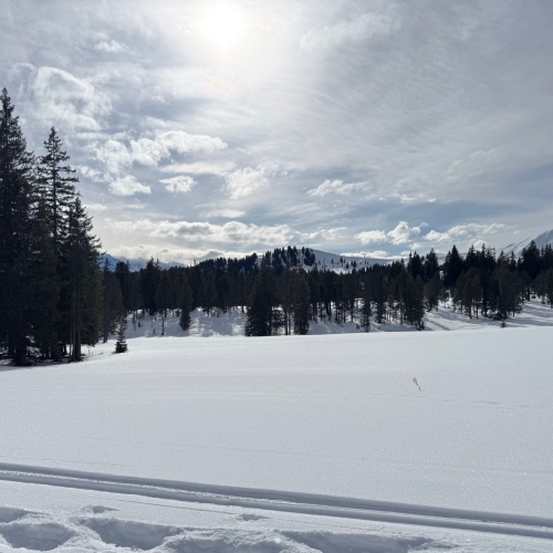 260204_SS_NM_Lombachalp 4