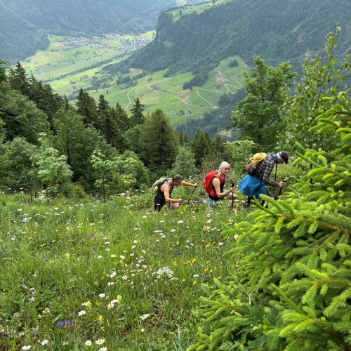 16_Vom Wiesenberg auf das Stanserhorn 2025_06_15 1