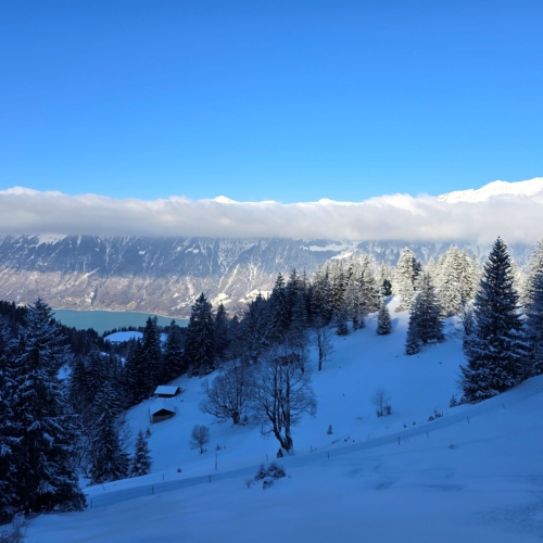 SS_06 Axalp-2025_01_18 7