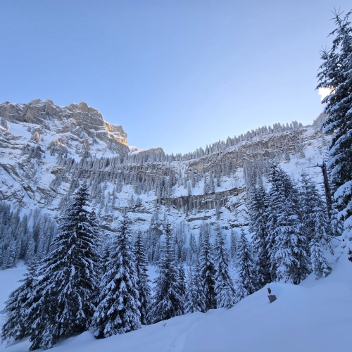 SS_06 Axalp_2025_01_18 5