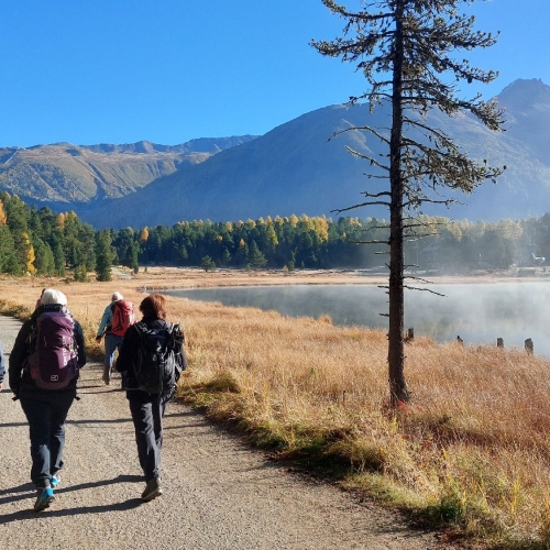 51_08_Auf dem Weg nach Punt Muragl 004