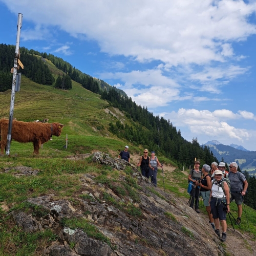 38_Schimbrig 2 2025_08_27