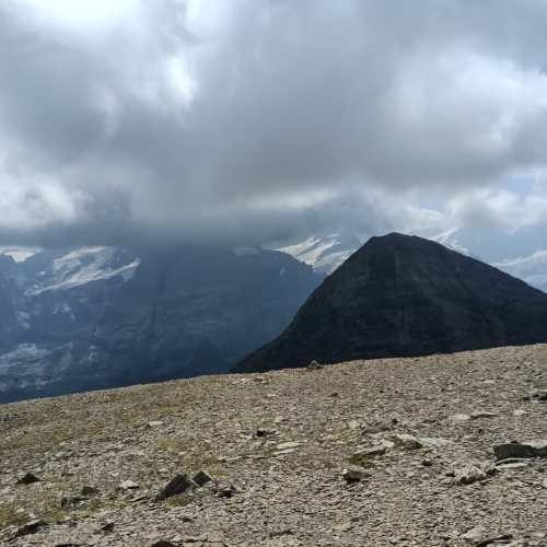 35_Grosse Scheidegg-Wildgärst 6 2025_08_16