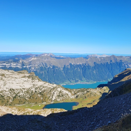 44_Axalp-Faulhorn-Schynige Platte 7 2025_09_17 006