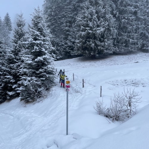 260215_SS_2 Bei Wissensteinen