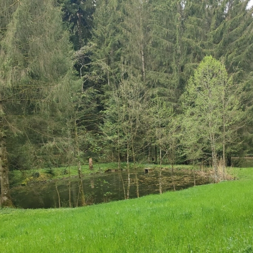 04_20250416_7 Weiher
