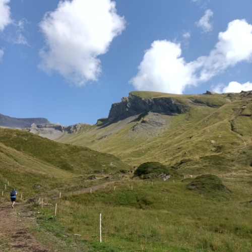 35_Grosse Scheidegg-Wildgärst 1 2025_08_16