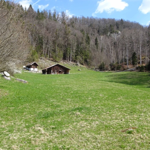 02_Brünig 2025_04_09 05EinsameWeiden_r