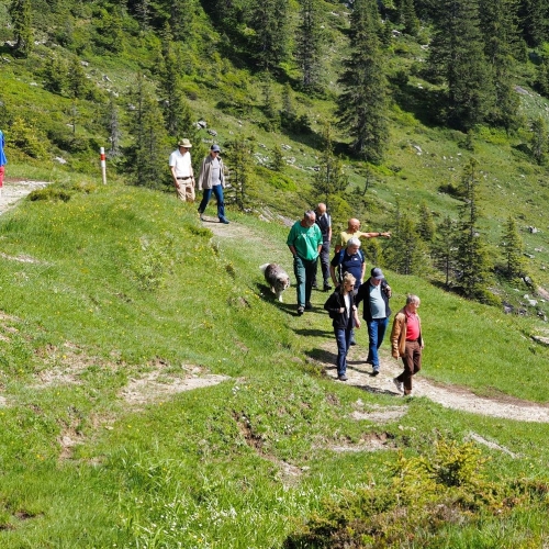 07 Angeregte Gespräche auf dem Rückweg