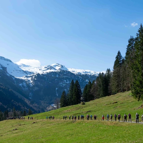 GV25_GJ_Wanderung II_2025-04-05 (6)