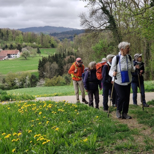 04_20250416_11 Wandergruppe