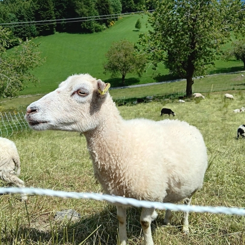 09_20250515_8 Interessierte Zuschauer