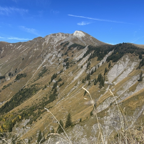 50_Fitness-Check Höch Gumme 6 2025_10_08 006