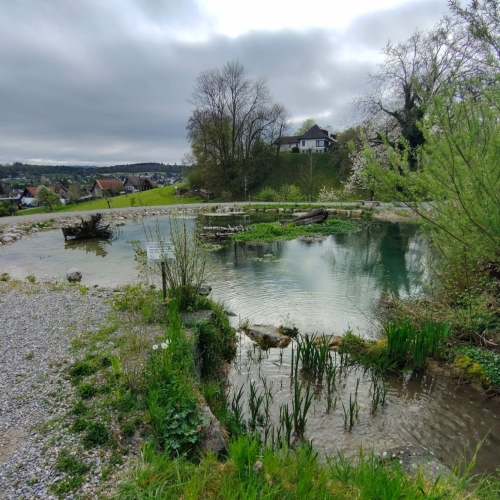04_20250416_4 Teich