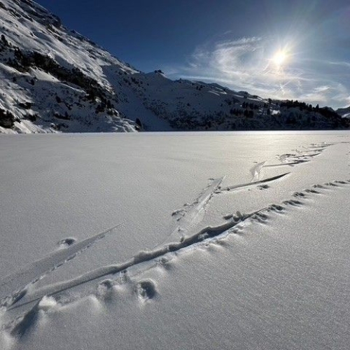 SS_15 Engelberg-Melchsee-Frutt 2025_03_08 2