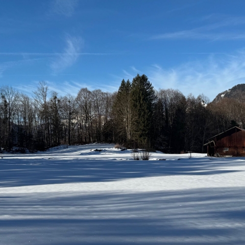 260114_SS_Wiler-Gadmen 7