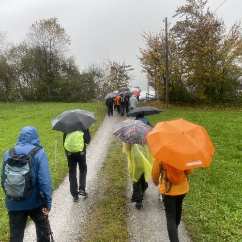 55_Abschlusswanderung 1 2025_11_02 001