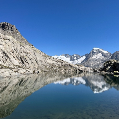 34_Grimsel-Nägelisgrätli 4 2025_08_13 003