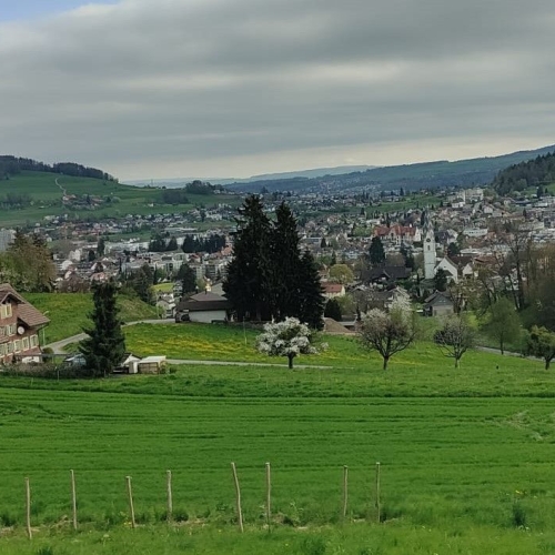 04_20250416_5 Menziken-Reinach