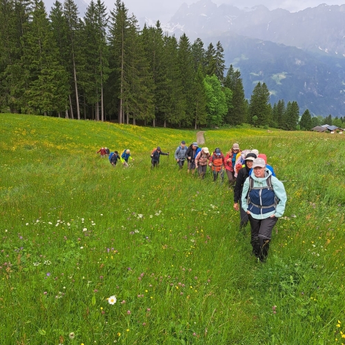 14_Schattdorfer Berge 2025_06_04 3