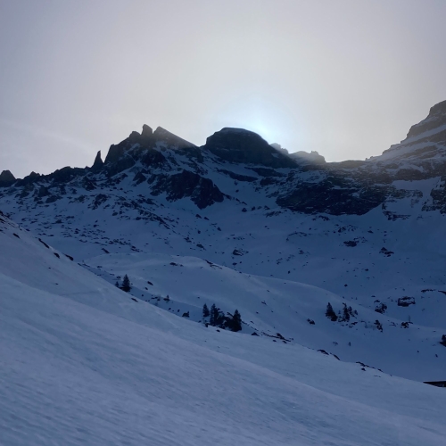 260304_02 Der Sonne entgegen