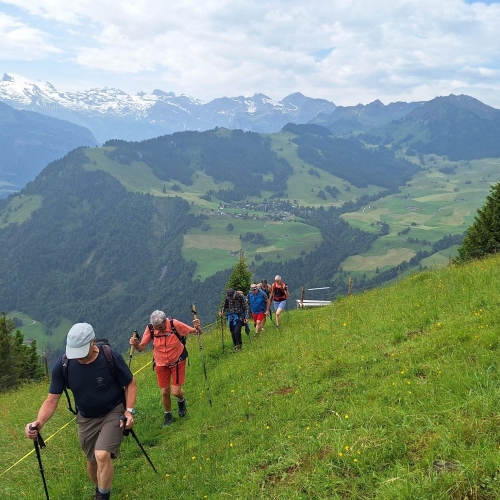 16_Vom Wiesenberg auf das Stanserhorn 2025_06_15 2