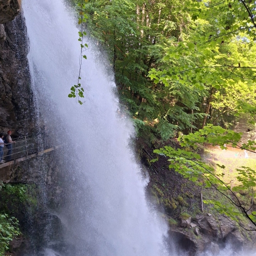 11_Brienz-Schweibenalp-Iseltwald 2 20250531