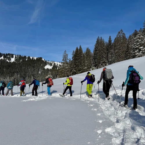 SS_03 Sattelpass 6