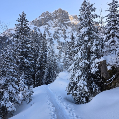 SS_06 Axalp_2025_01_18 4