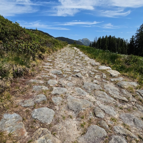 Polenweg