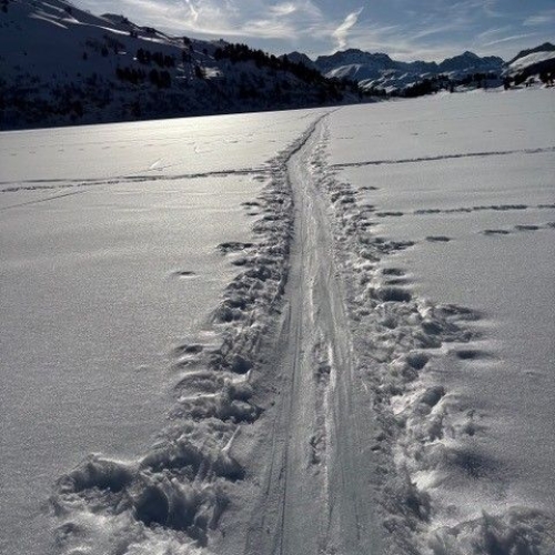 SS_15 Engelberg-Melchsee-Frutt 2025_03_08 3