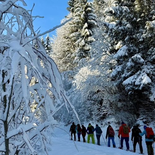 SS_03 Sattelpass 3