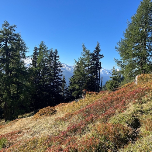 52_Gommer Höhenweg 2025_10_15 7 004