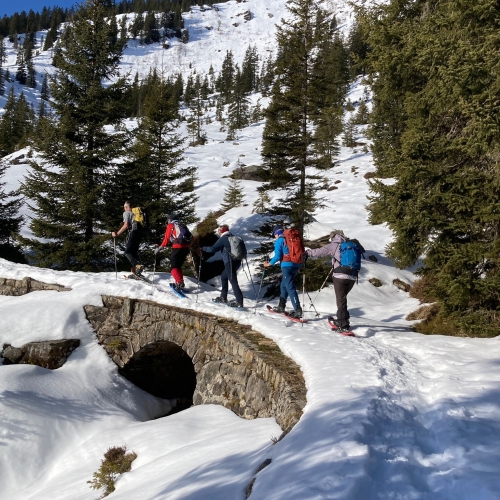 260121_SS_Alpnacher Howald 8