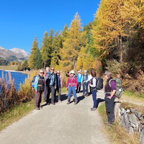 51_02_Dem Silvaplanersee entlang