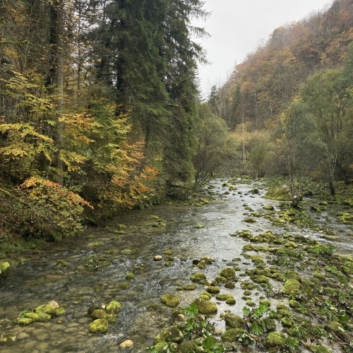 54_03_In-der-Gorges-de-l'Orbe 003