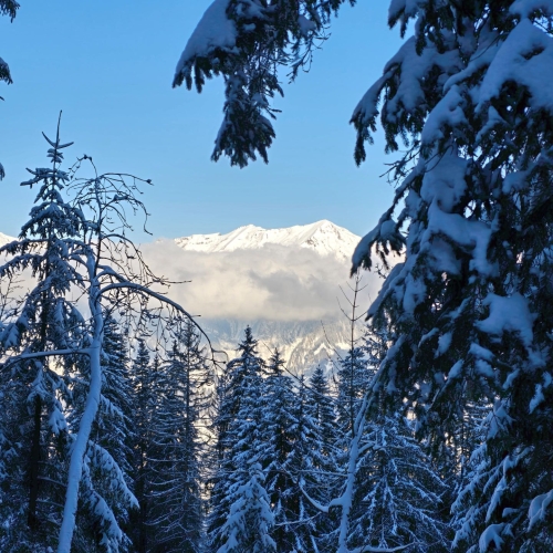 SS_06 Axalp_2025_01_18 3