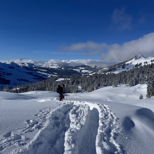 260111_SS_Sörenberg-Mörlialp 15