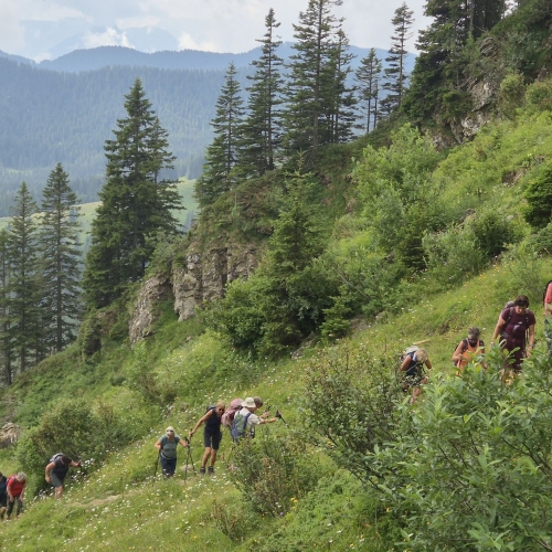 21_20250705_3_Auf einem schönen Wanderweg