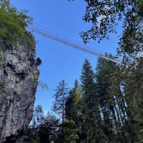 48_2025_10_01 4 Die neue Hängebrücke 002