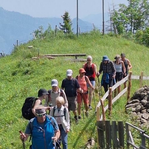 16_Vom Wiesenberg auf das Stanserhorn 2025_06_15 3
