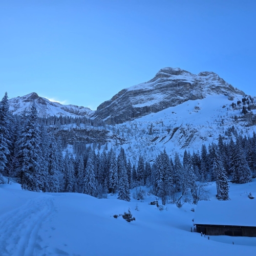 SS_06 Axalp_2025_01_18 6