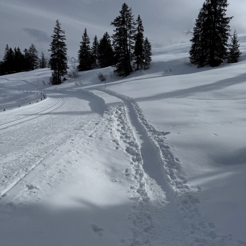 260204_SS_NM_Lombachalp 6