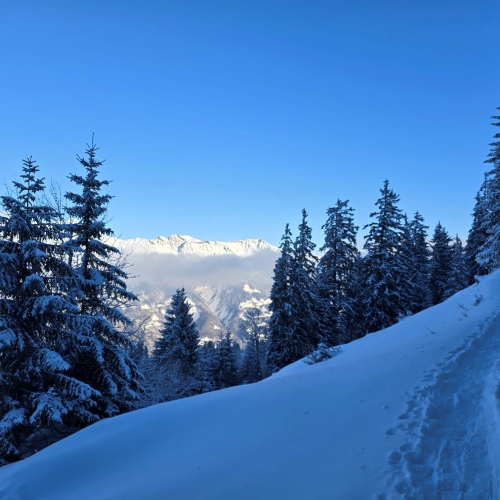 SS_06 Axalp_2025_01_18 1