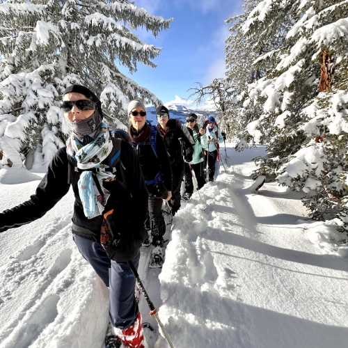 260111_SS_Sörenberg-Mörlialp 11 003