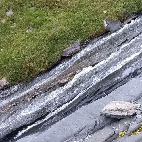 35_Grosse Scheidegg-Wildgärst 10 2025_08_16