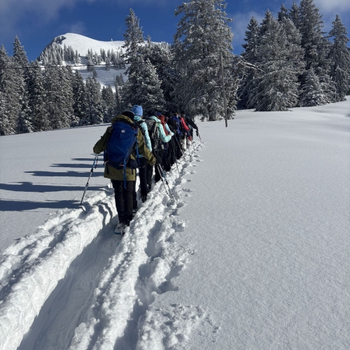 260111_SS_Sörenberg-Mörlialp 5 010