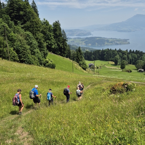 17_20250618_2_Schöne Aussicht auf den Vierwaldstättersee