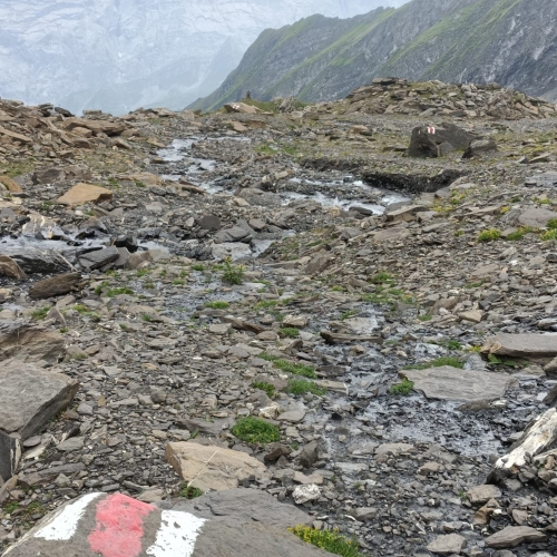 35_Grosse Scheidegg-Wildgärst 8 2025_08_16