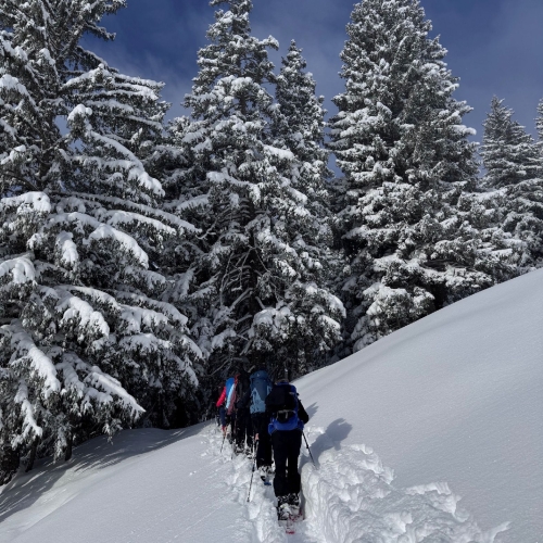 260111_SS_Sörenberg-Mörlialp 13 004